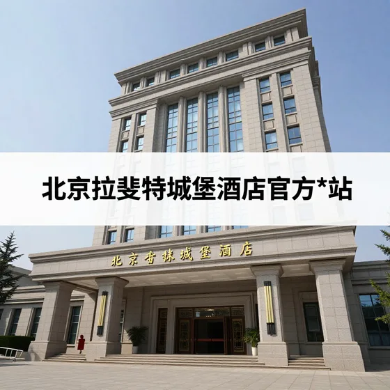 智赢全脑